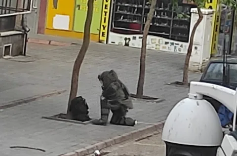 Sahabiye'de Bomba Paniği! Şüpheli Poşetler Kayseri'de Paniğe Neden Oldu — haber görseli