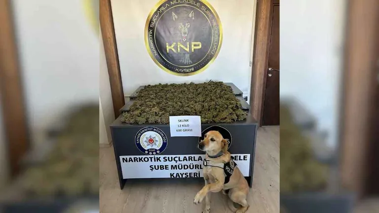 Kayseri'de Uyuşturucu operasyonu: 12 kilo 600 gram uyuşturucu el geçirildi — haber görseli