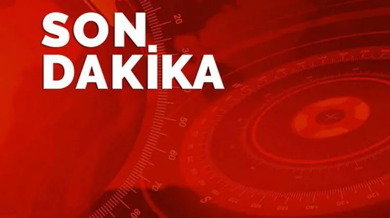 Adana'da kesilen 700 kilogram at ve eşek eti Sakarya'da yakalandı — haber görseli