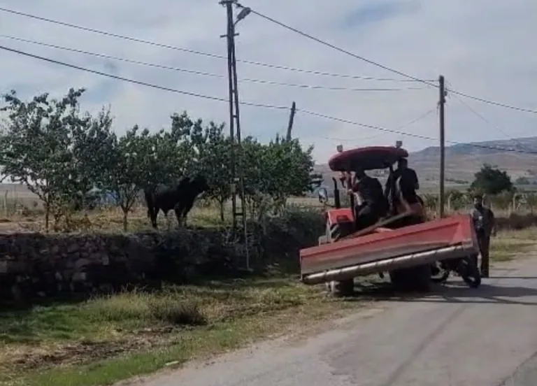 Kamyondan indi, soluğu tarlalda aldı! Bünyan’da kaçan büyükbaş hayvanı yakalamak için vatandaşlar seferber oldu — haber görseli