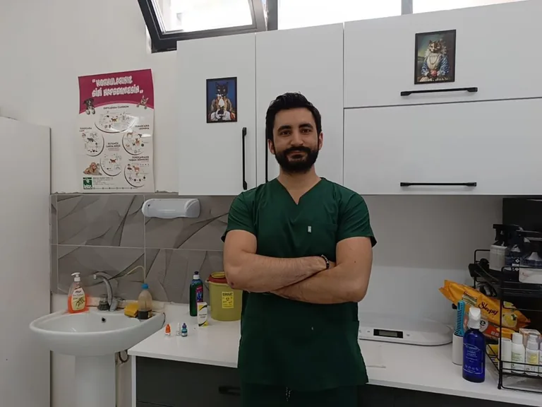 Bir Kedinin Hayatta Kalma Hikayesi: Teşekkürler Mucize Veteriner Mustafa Teknekaya — haber görseli