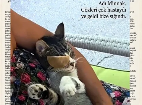 Songül Arık'tan.... Emanete Hıyanet, Vicdanın İmtihanı ve Aramızdaki Gizli Tehlike — haber görseli
