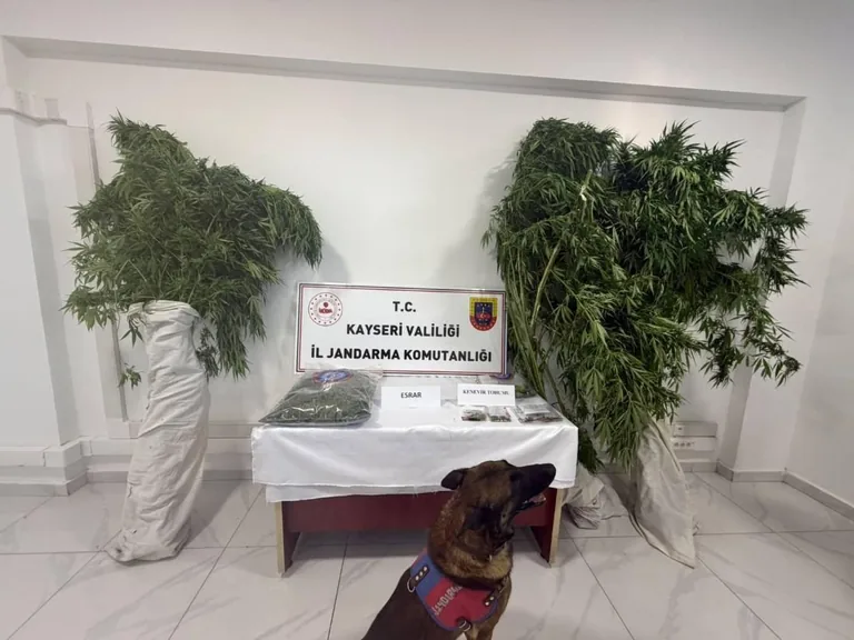 5 Yıldır Aranıyordu! 15 Yıl Hapis Cezası Bulunan Firari Develi'de Uyuşturucuyla Yakalandı — haber görseli
