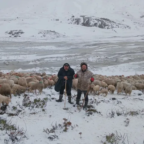 Isparta'da Tipi Vurdu Heyelan Yolu Kapattı! 2 çoban ve 650 küçükbaş yaylada mahsur kaldı — haber görseli