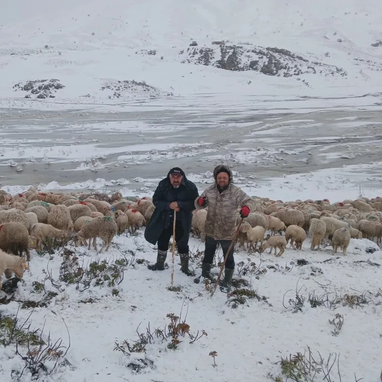 Isparta'da Tipi Vurdu Heyelan Yolu Kapattı! 2 çoban ve 650 küçükbaş yaylada mahsur kaldı — haber görseli