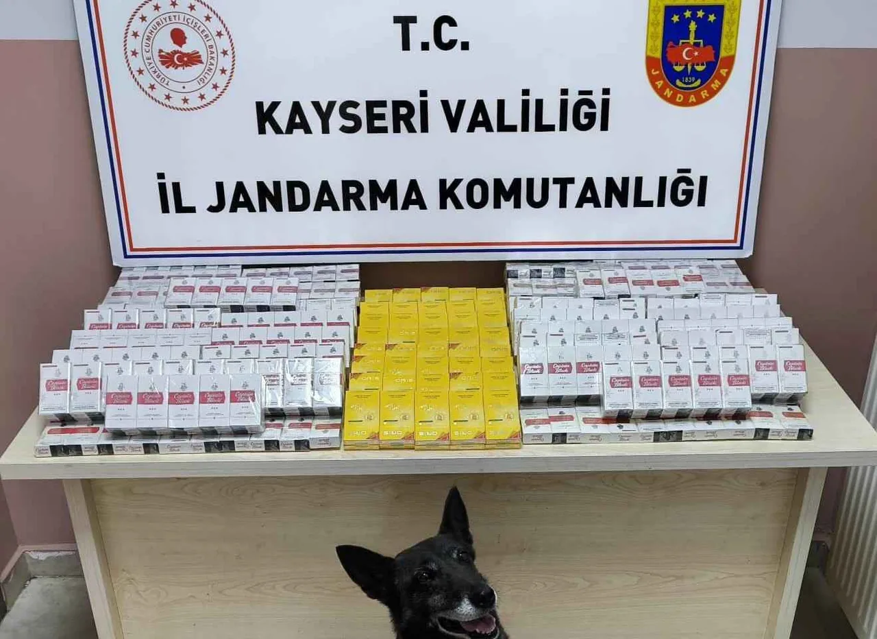 Kayseri-Malatya yolunda tırda 630 paket kaçak sigara ele geçirildi — haber görseli