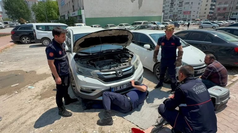 Otomobilin Motoruna Sıkışan Kedi Kayseri Büyükşehir İtfaiye Ekipleri Tarafından Kurtarıldı — haber görseli