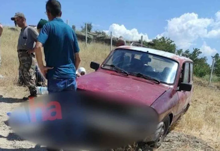 Başakpınar’da Talihsiz Kaza: Otomobil Arızası Ölümle Sonuçlandı — haber görseli