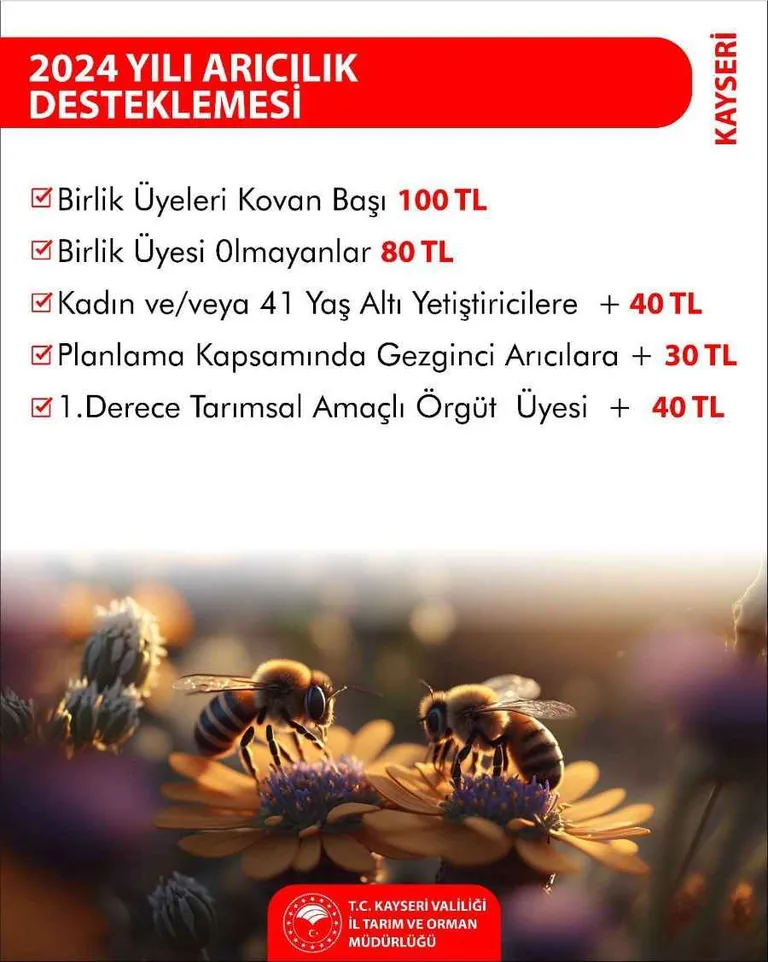 Tarım ve Orman Bakanlığı’ndan Kayseri’de hayvancılığa destek — haber görseli