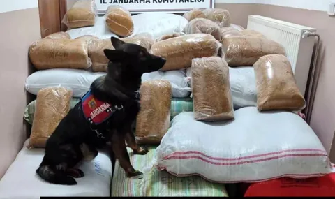 Kayseri Jandarmadan Kaçak Tütün Operasyonu: 1,5 Ton Ele Geçirildi — haber görseli