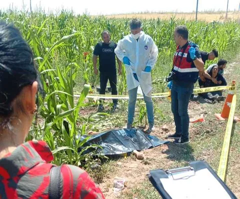 Bünyan'da Feci Kaza! Otomobil Şarampole Devrildi: 1 Ölü — haber görseli