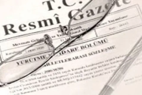 Resmi Gazetede Yayımlandı: 3 İlde Sahipsiz Hayvanları Koruma Birliği faaliyete geçiyor — haber görseli