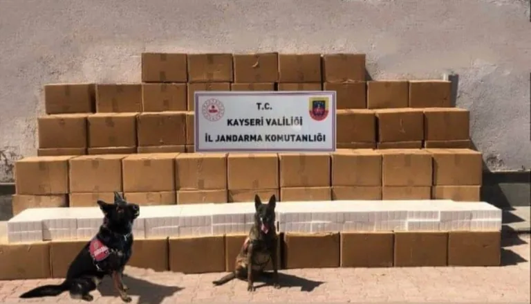 Kaçak Sigara Sevkiyatına Büyük Darbe: 2 Kişi Yakalandı, 2 Milyon 460 Bin Lira Değerinde Malzeme Ele Geçirildi — haber görseli