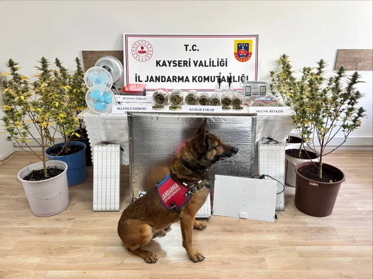 İklimlendirme Sistemiyle Uyuşturucu Madde Yetiştiren Şahıs Yakalandı — haber görseli