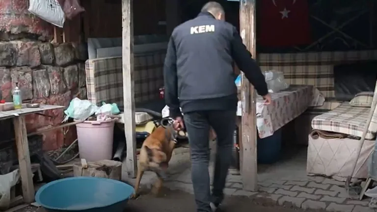 Kayseri'de Uyuşturucu Operasyonu: 22 Kişi Cezaevine Teslim Edildi — haber görseli