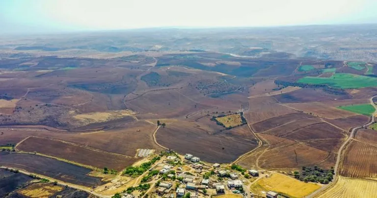Diyarbakır ve Mardin'deki anız yangınında hayatını kaybedenlerin sayısı 12'ye yükseldi — haber görseli