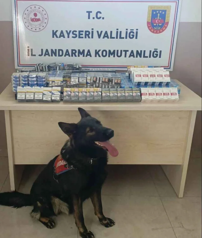 Jandarmadan Nokta Atışı Operasyon: 640 Paket Kaçak Sigara Bulundu — haber görseli