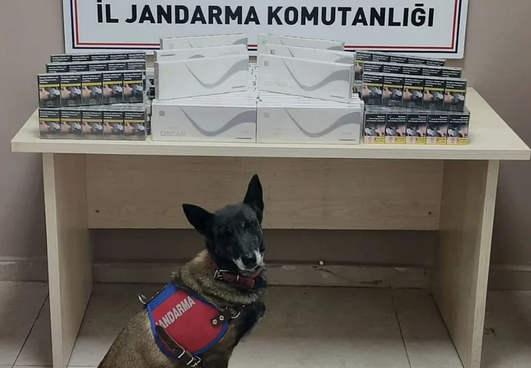 Kayseri-Malatya Karayolunda Kaçak Sigara Operasyonu — haber görseli