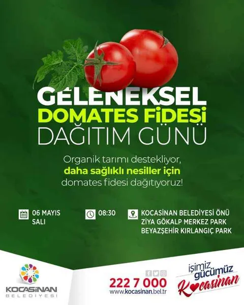 Kocasinan’da Geleneksel Domates Fidesi Dağıtımı 6 Mayıs’ta Başlıyor — haber görseli