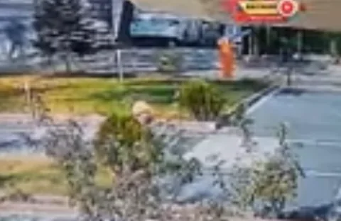 Kayseri'de Kadına Şiddet! Bina yöneticileri arasında yumruklu kavga — haber görseli