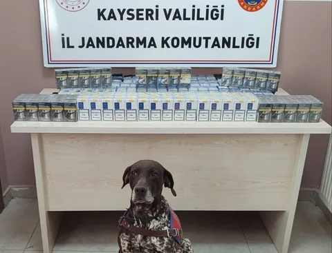 Kayseri’de Yol Kontrolünde 640 Paket Bandrolsüz Sigara Ele Geçirildi — haber görseli