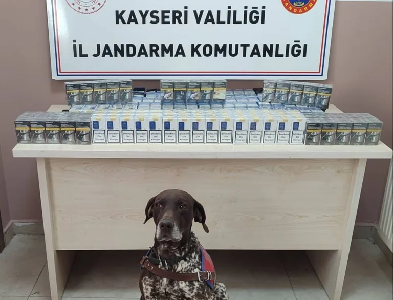 Kayseri’de Yol Kontrolünde 640 Paket Bandrolsüz Sigara Ele Geçirildi — haber görseli
