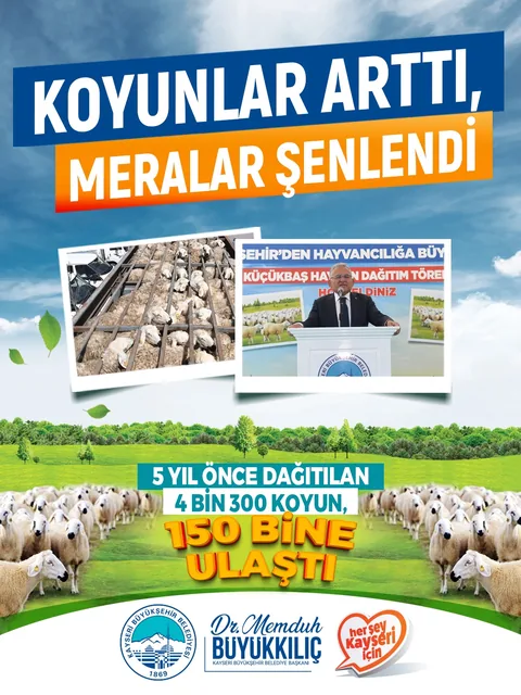 BAŞKAN BÜYÜKKILIÇ’IN PROJESİ REKOR KIRDI: 4 BİN KOYUN 150 BİN OLDU! — haber görseli