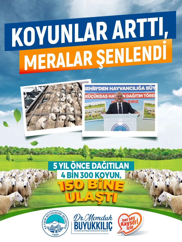 BAŞKAN BÜYÜKKILIÇ’IN PROJESİ REKOR KIRDI: 4 BİN KOYUN 150 BİN OLDU! — haber görseli