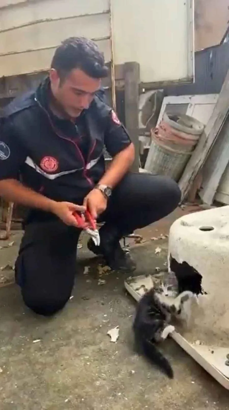 İtfaiye Ekipleri Hızır Gibi Yetişti! Küvette Mahsur Kalan Kedi Kurtarıldı — haber görseli