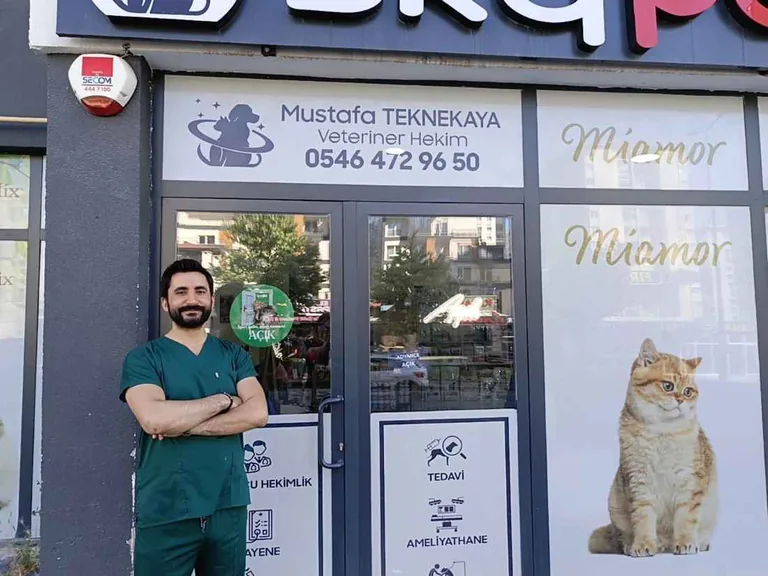 Bir Kedinin Hayatta Kalma Hikayesi: Teşekkürler Mucize Veteriner Mustafa Teknekaya — haber görseli