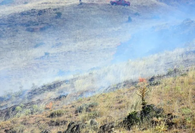 Böyle Sorumsuzluk Görülmedi! Mangal ateşi, 3 bin dönüm tarım arazisini küle çevirdi — haber görseli
