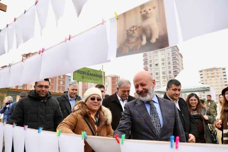 Kocasinan'da Kedi Temalı Fotograf Yarışmasında Kazananlar Ödüllerini Aldı — haber görseli
