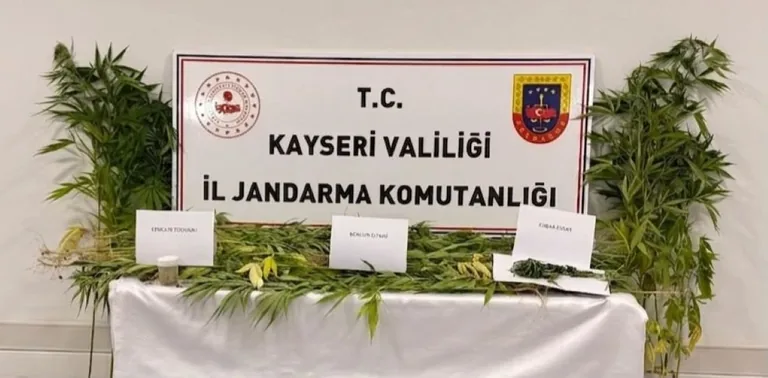 Kayseri'de Uyuşturucu Operasyonu! Develi'de 2 Gözaltı — haber görseli