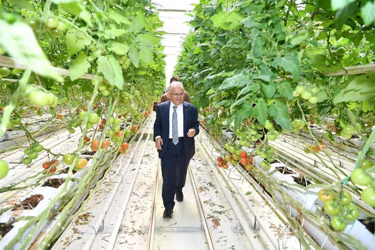 Büyükkılıç, Tarıma Dayalı Sera İhtisas OSB Yapılacak Alanda İncelemelerde Bulundu — haber görseli