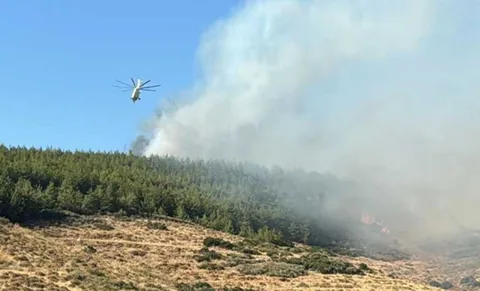 Hatay'da Orman Yangını! — haber görseli