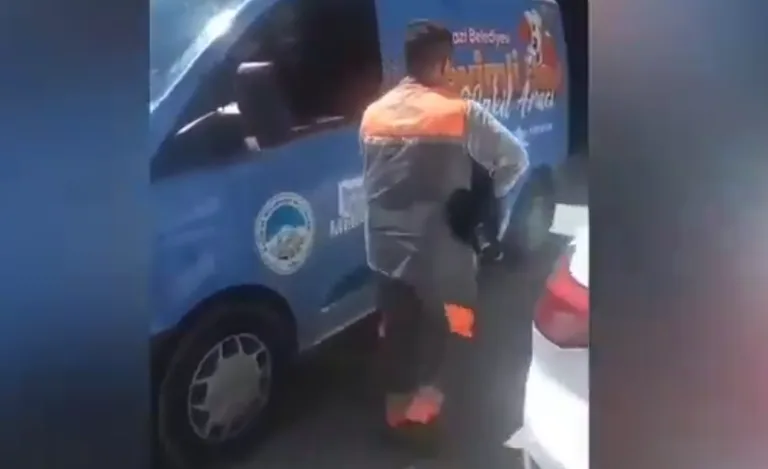 Yaralı köpek tedavi edilip barınağa teslim edildi! Sahibi Hakkında Yasal İşlem  Başlatıldı — haber görseli
