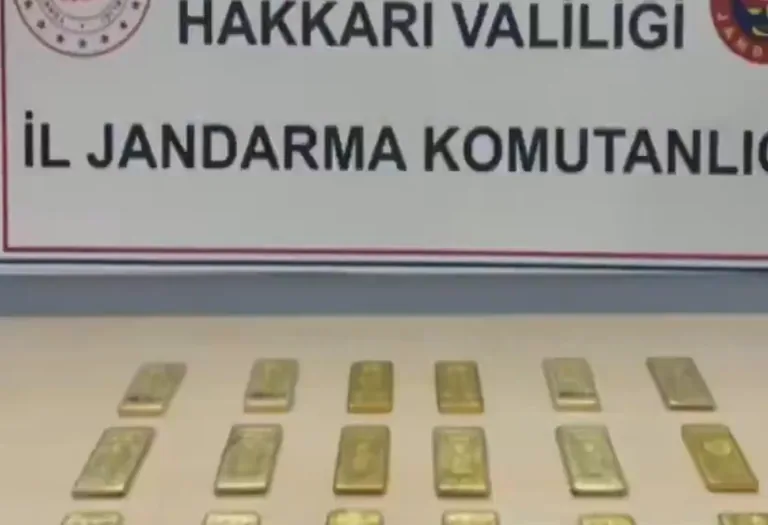 AYAKKABILARDAN SERVET ÇIKTI: 54 Milyon TL Değerinde Külçe Altın Ele Geçirildi — haber görseli
