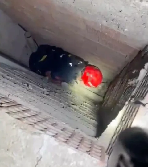 Havalandırma Boşluğuna Düşen Kedi İtfaiye Tarafından Kurtarıldı — haber görseli