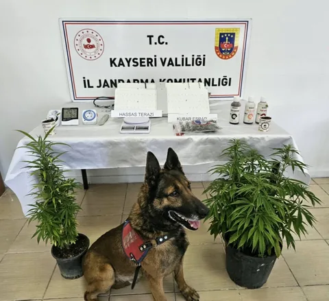 Jandarmadan Melikgazi'de Uyuşturucu Operasyonu! 1 Gözaltı — haber görseli