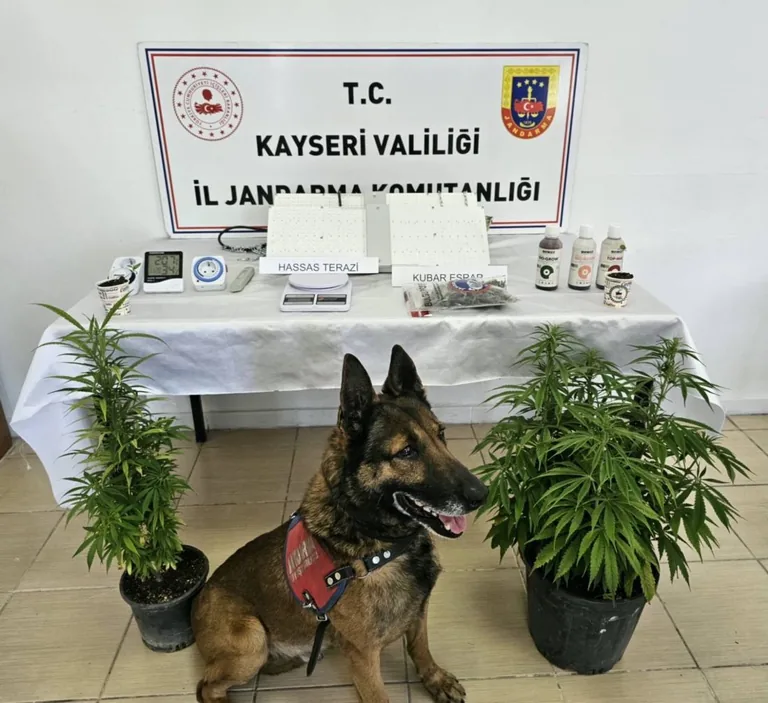 Jandarmadan Melikgazi'de Uyuşturucu Operasyonu! 1 Gözaltı — haber görseli