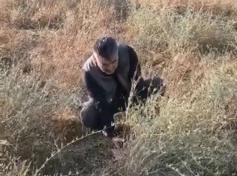 Yahyalı’da kaçak av denetimi: Kuş sesi çıkaran cihaz ele geçirildi — haber görseli
