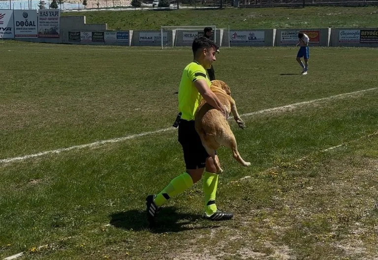 Köpeğe Kırmızı Kart! Sahadan Çıkmayan Sevimli Misafir Olay Oldu — haber görseli