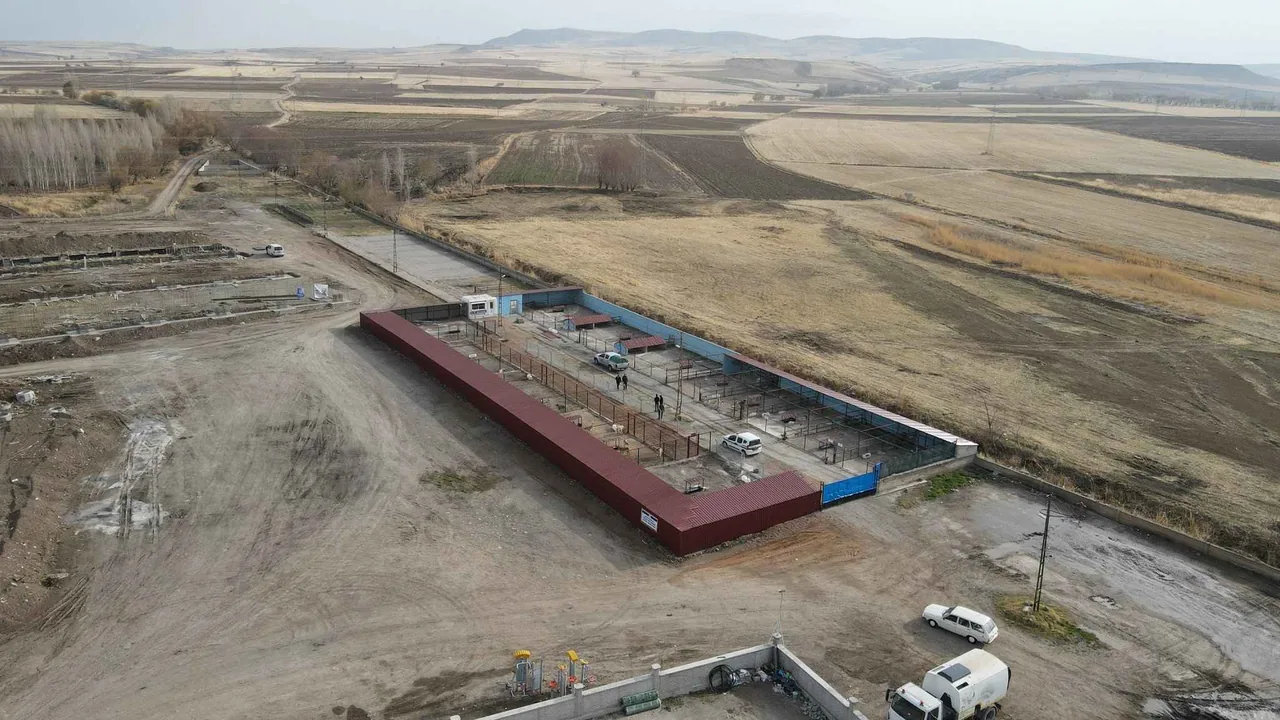 Yaparsa Selahattin Başkan Yapar: Bünyan'da Sokak Hayvanları için Doğal Yaşam Alanı Açıldı — haber görseli
