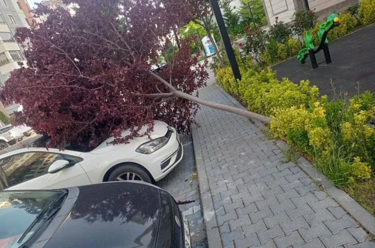 Kayseri'de Kuvvetli Rüzgar Hayatı Felç Etti — haber görseli