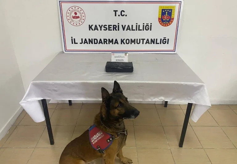 Jandarmadan Kaçamadılar! Nokta Operasyon: Araçtan 1 Kilo 200 Gram Kokain Çıktı — haber görseli