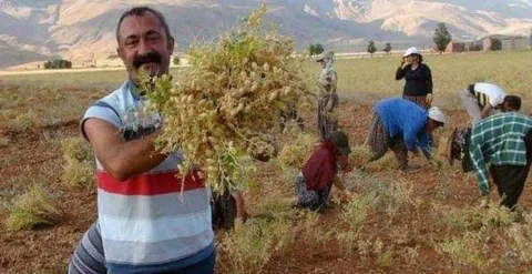 Komünist Başkan Maçoğlu 230 milyon borç bıraktı — haber görseli
