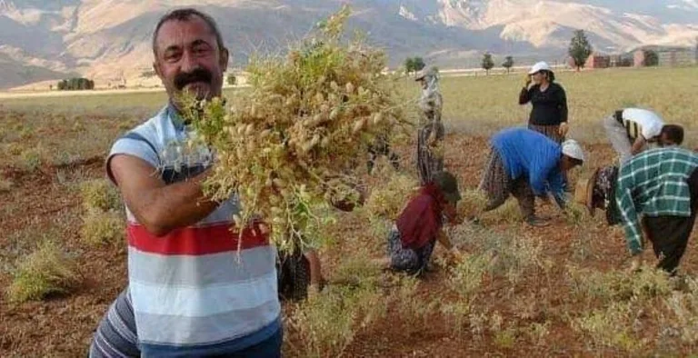 Komünist Başkan Maçoğlu 230 milyon borç bıraktı — haber görseli