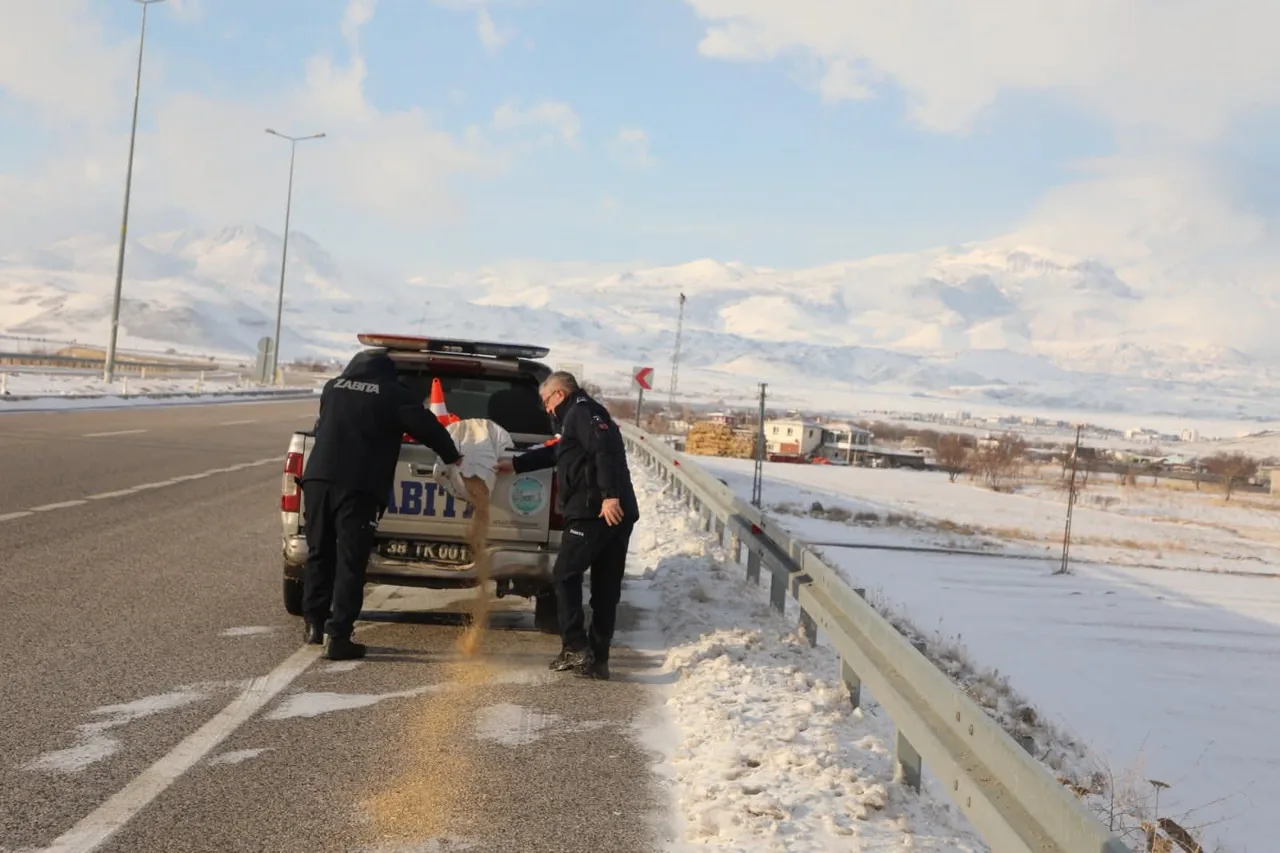 Kaş Yaparken Göz Çıkarmak: Develi Belediyesi İyilik Yaparken Tehlikeye Davetiye Çıkarıyor — haber görseli