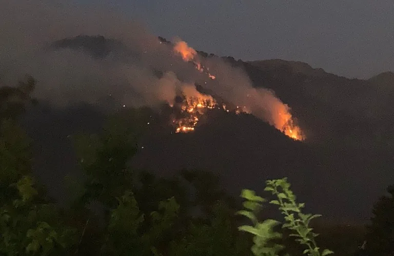 Babadağ'da Orman Yangını Büyüyor! 1 Mahalle Tahliye Edildi — haber görseli