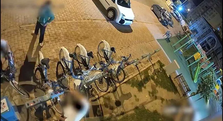 KAYBİS hırsızlığında 3 gözaltı — haber görseli